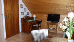 TV a/nebo společenská místnost v ubytování Apartman U Hanicky