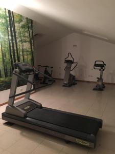 Fitness centrum a/nebo fitness zařízení v ubytování Hotel Tre Ville