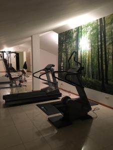 Fitness centrum a/nebo fitness zařízení v ubytování Hotel Tre Ville
