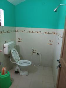 a bathroom with a toilet and a shower at Mist Valley in Masinagudi