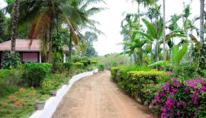 uma estrada de terra num jardim com flores e palmeiras em Simply Coorg Estate Villa em Virajpet