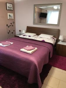 雷德尼斯的住宿－Penzion Pohoda，一间卧室配有一张大床和紫色毯子