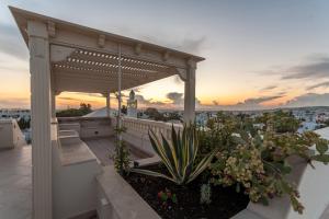 a rooftop patio with a pergola and flowers at Maison d'Hôtes Dar Ennassim in La Marsa