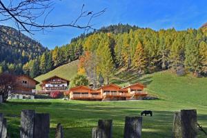 a horse grazing in a field in front of a house at Chalet Leitner in Valles
