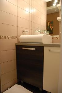 a bathroom with a sink and a mirror at Villa Milmari in Kopaonik +31 photos