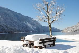 莫尔韦诺Hotel Aurora的树旁有两长凳,雪覆盖 更多141张照片
