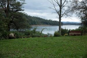 un banco sentado en el césped junto a un lago en Casa Río Vivo, en Valdivia