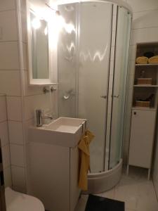 a bathroom with a sink and a shower at Apartman Perica in Zagreb