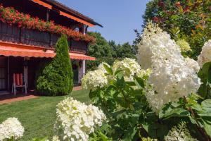 Zahrada ubytování Hotel Alpina
