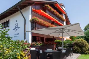 Zahrada ubytování Hotel Alpina