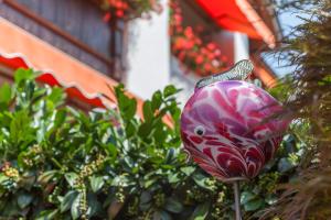 Zahrada ubytování Hotel Alpina