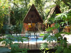 una casa con sillas y una piscina frente a ella en Howler Monkey Hotel, en Montezuma