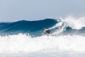 Majutusasutuse Surf Deck külastajad