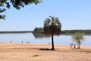 una palmera en una playa de arena junto a un lago en Lo de Nora, ColónER en Colón