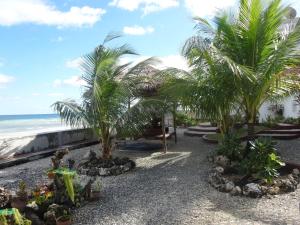 a beach with two palm trees and the ocean at House Rapunzel in Oslob