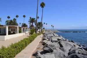 a beach with palm trees and a house and the water at Hotel Quintas Papagayo in Ensenada