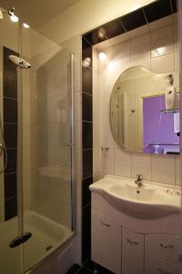 a bathroom with a sink and a shower and a mirror at Casa Romana I in Sibiu