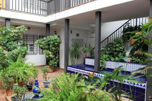 un jardín interior con plantas en una casa en Triana Betis, en Sevilla