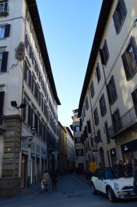 Foto dalla galleria di Giglio Borgia a Firenze