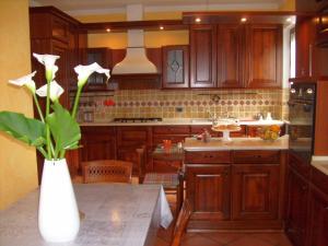 オッジェッビオにあるCasa Coccinellaのキッチン(木製キャビネット、白い花瓶付)