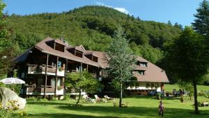 a large building on a field with a mountain at Akzent Hotel Lawine in Todtnau