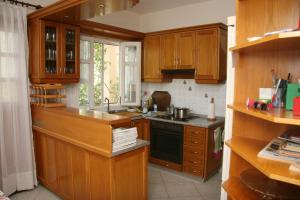 a kitchen with wooden cabinets and a sink and a stove at Villa Vlichos in Amarynthos