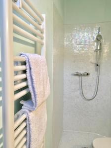 La salle de bains est pourvue d'une douche et d'un porte-serviettes. dans l'établissement Apartment Bergamo Centro Storico, à Bergame