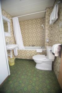 łazienka z toaletą i umywalką w obiekcie Hotel Hold AG w mieście Arosa