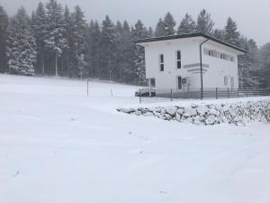 Ferienhaus Grobauer II im Winter