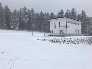 Ferienhaus Grobauer II im Winter