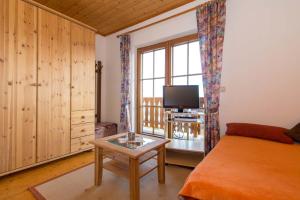 a living room with a bed and a tv and a window at Ferienwohnung DrauSport in Greifenburg