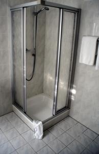 a shower with a glass door in a bathroom at Landhotel Pagram-Frankfurt/Oder in Frankfurt/Oder