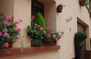 una finestra con piante in vaso sul lato di un edificio di Mirabelle Bed & Breakfast a Ribeauvillé