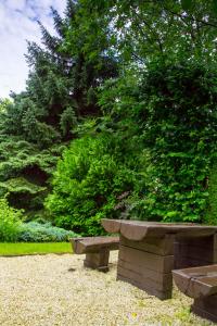 Zahrada ubytování Hotel Molnár