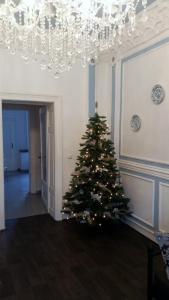 een kerstboom in de hoek van een kamer bij Fewo Meissen in Meißen