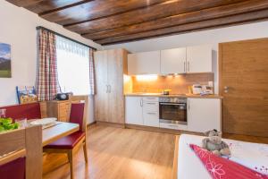A kitchen or kitchenette at Biohof Maurachgut