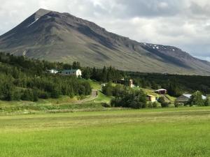 een berg in de verte met een groen veld bij Brúnalaug Guesthouse - Holiday Home in Eyjafjaroarsveit