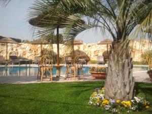 a palm tree in a yard next to a swimming pool at Semiramide Palace Hotel in Castellana Grotte
