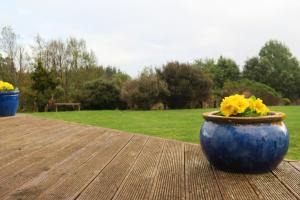 A garden outside Scottbase B and B
