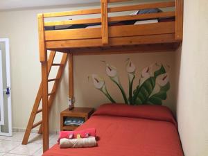 a bedroom with a bunk bed with a flower mural on the wall at Hotel Jovita in Xilitla