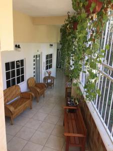 une véranda avec des canapés et des plantes dans un bâtiment dans l'établissement Hotel Jovita, à Xilitla
