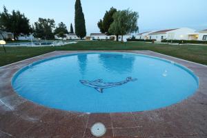 a swimming pool with a dolphin painted on it at Hotel Apartamento Do Golfe in Vilamoura