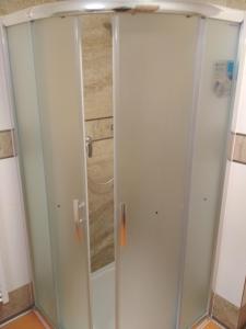 una doccia con porta in vetro in bagno di Apartmány Pod Kaštany Kvasice a Kvasice