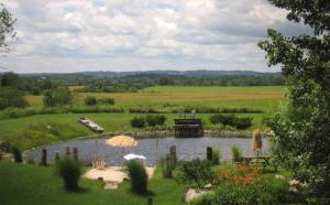 a pond in the middle of a grassy field at The Bella Ella Bed and Breakfast in Canandaigua