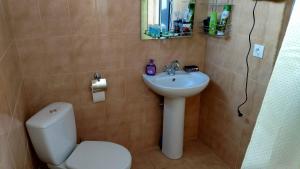 un baño con inodoro y lavabo en Apartment Avlabari (In old Tbilisi), en Tiflis 26 fotos más