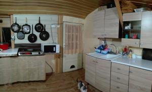 a kitchen with a sink and a stove with pots and pans at Camping Casuta Mihaela in Crisan