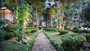 a walkway through a garden with trees and bushes at Samed Villa Resort in Ko Samed
