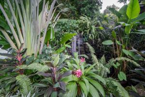 a garden with many different types of plants at Samed Villa Resort in Ko Samed