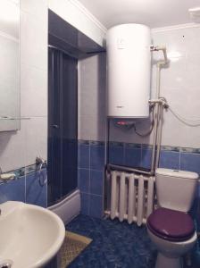 ヴェルホヴィナにあるVershyna Goryのバスルーム(トイレ、洗面台付)