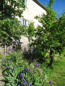 um jardim com flores roxas em frente a uma casa em Le vieux tilleul em Banne